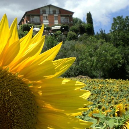 Hotel Sangallo B&B Montepulciano Stazione Kültér fotó