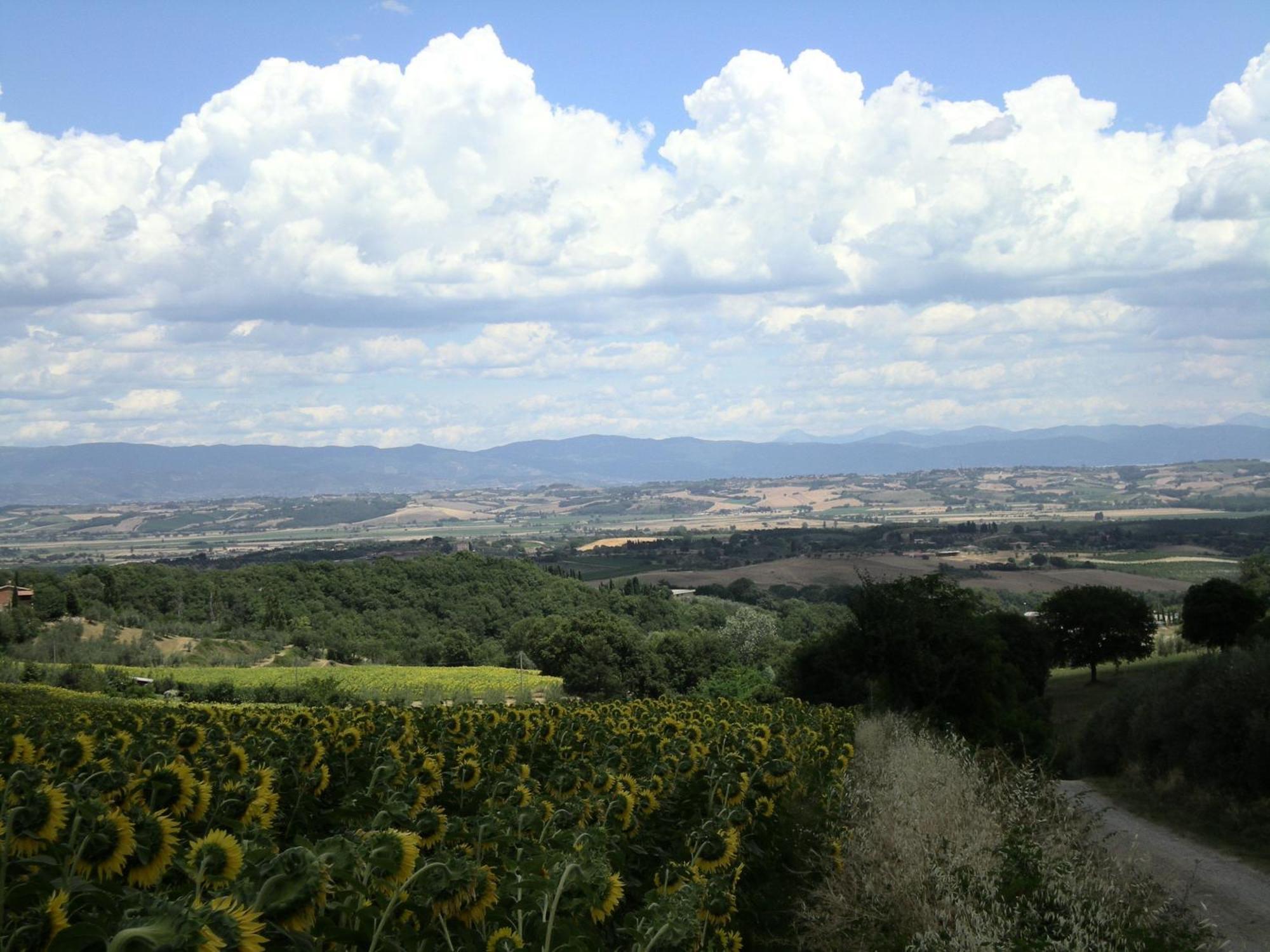 Hotel Sangallo B&B Montepulciano Stazione Kültér fotó
